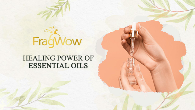 THE THERAPEUTIC BENEFITS AND HEALING POWER OF ESSENTIAL OILS