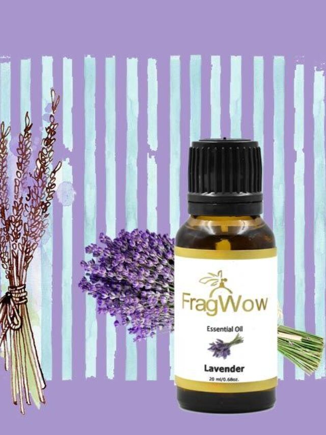 Lavender Oil and It’s uses