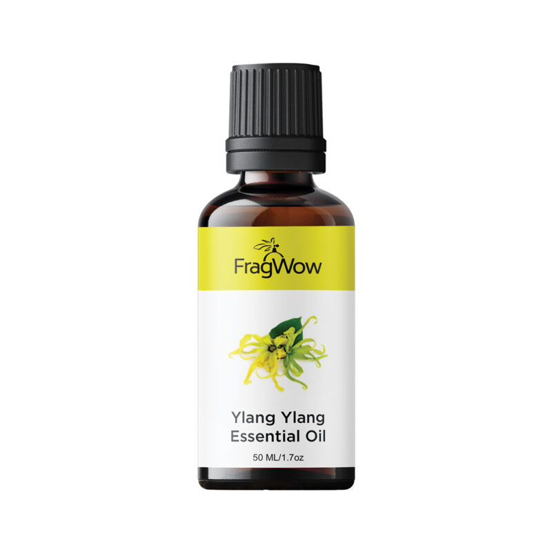 ylan ylang essential oil for meditation